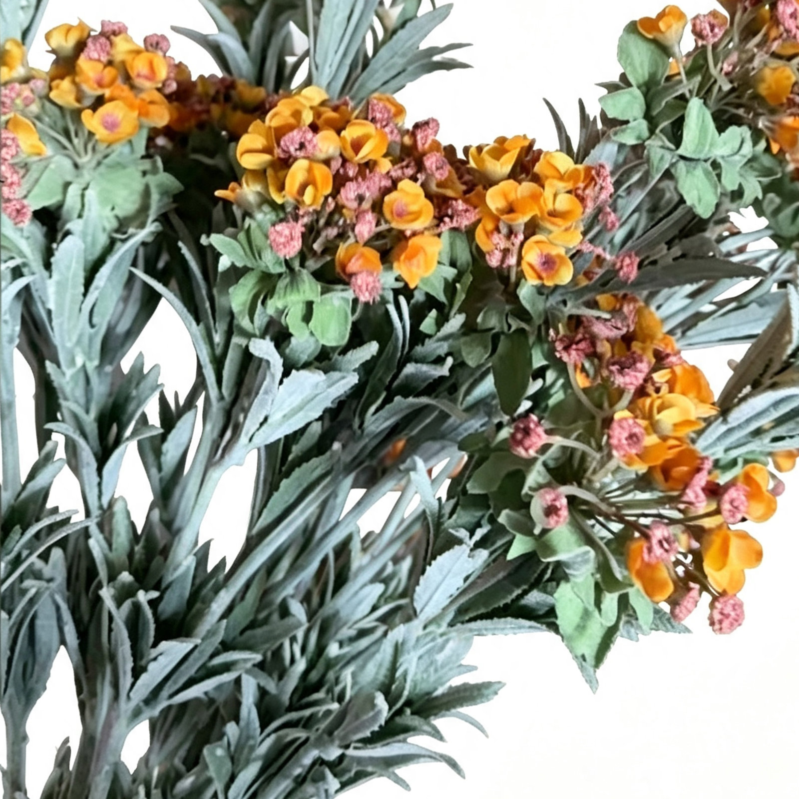 Audet Sweet Alyssum Stems, Orange