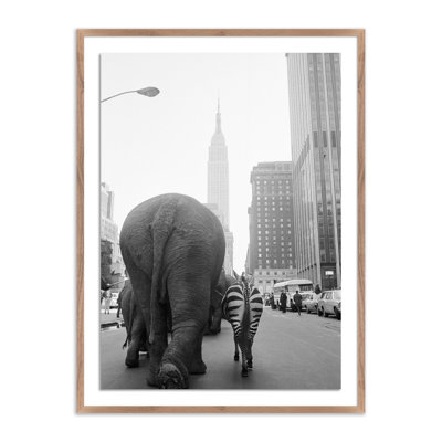 Circus Animals 33Rd St Print by Getty Images