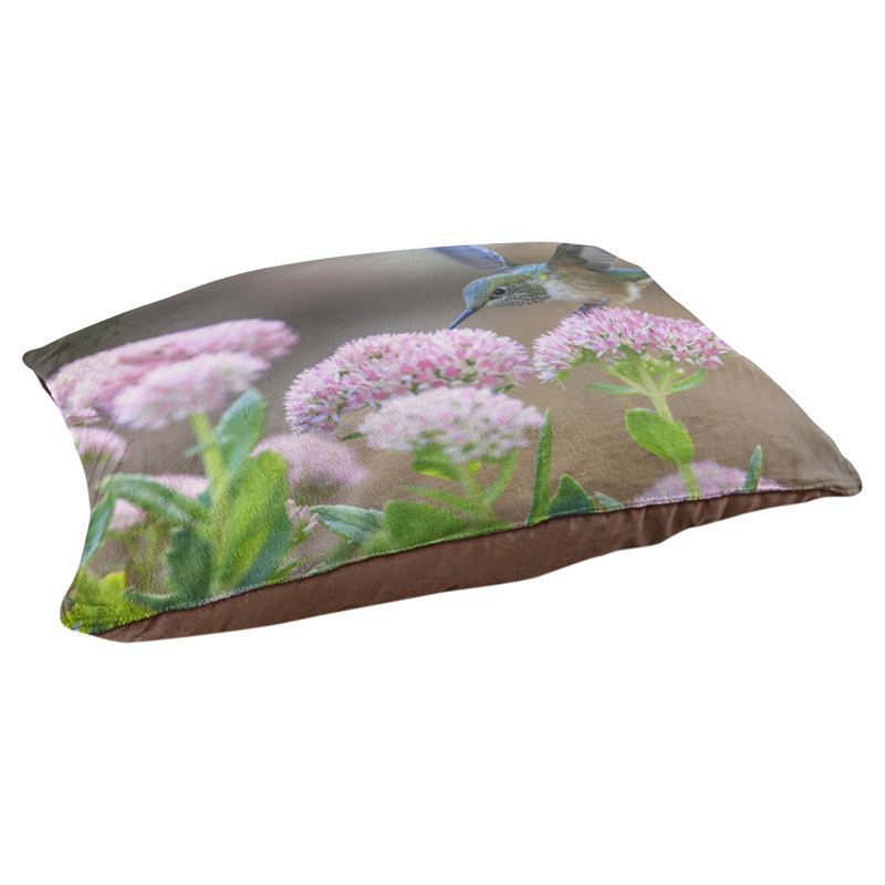 Coussin de concepteur hummingbird Burkhead, L 42 po x l 52 po, Marron foncé