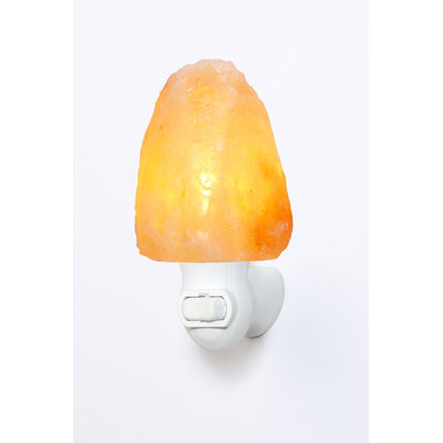 Lampe à sel Schutz 1 lb