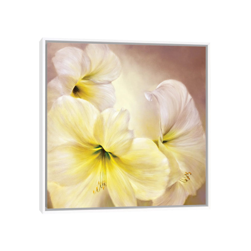 White Amaryllis by Marianna Shakhova - Print on Canvas, White Framed, 45.72 cm H x 45.72 cm W