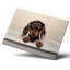 Dachshund Sausage Dog In Bath Canvas - Wrapped Canvas Print