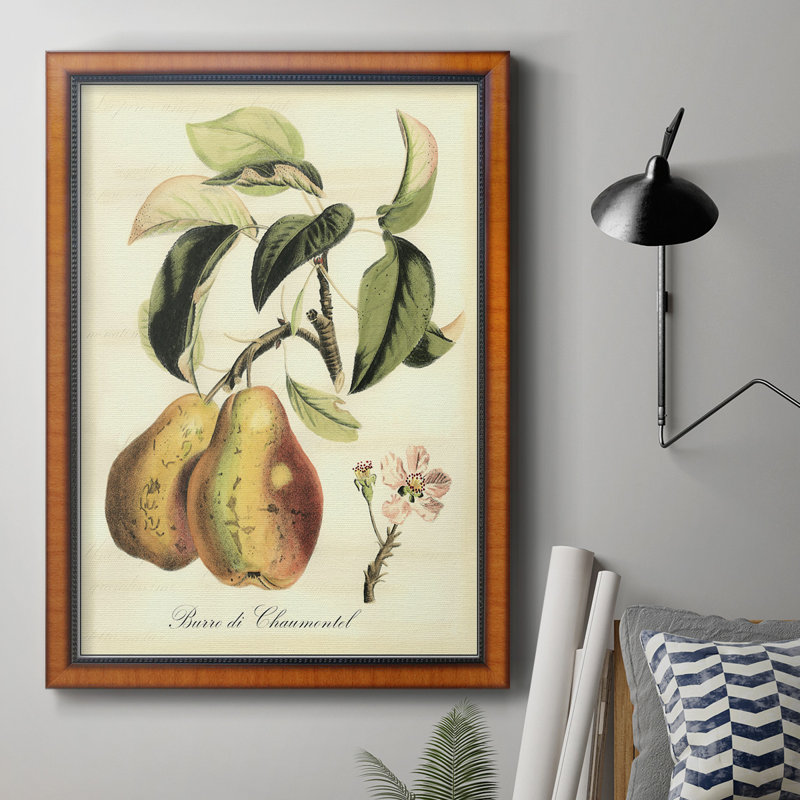 Impression sur toile encadrée de qualité supérieure de fruits de Toscane IV - prête à être accrochée, H 36 po x l 24 po