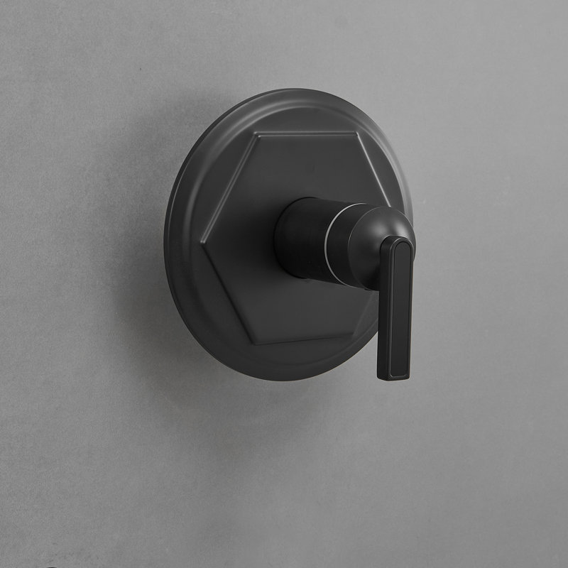 1 système de douche complet avec valve brute