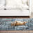 Placeeda Machine Washable Area Rug in Navy Blue-1488751729