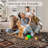 Area Rug Machine Washable Non-Slip Low Pile Geometric Print Pattern Western Easy-Cleaning Rug for Living Room Bedroom Nursery Entryway-939477288