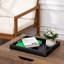 Tray-1343132277