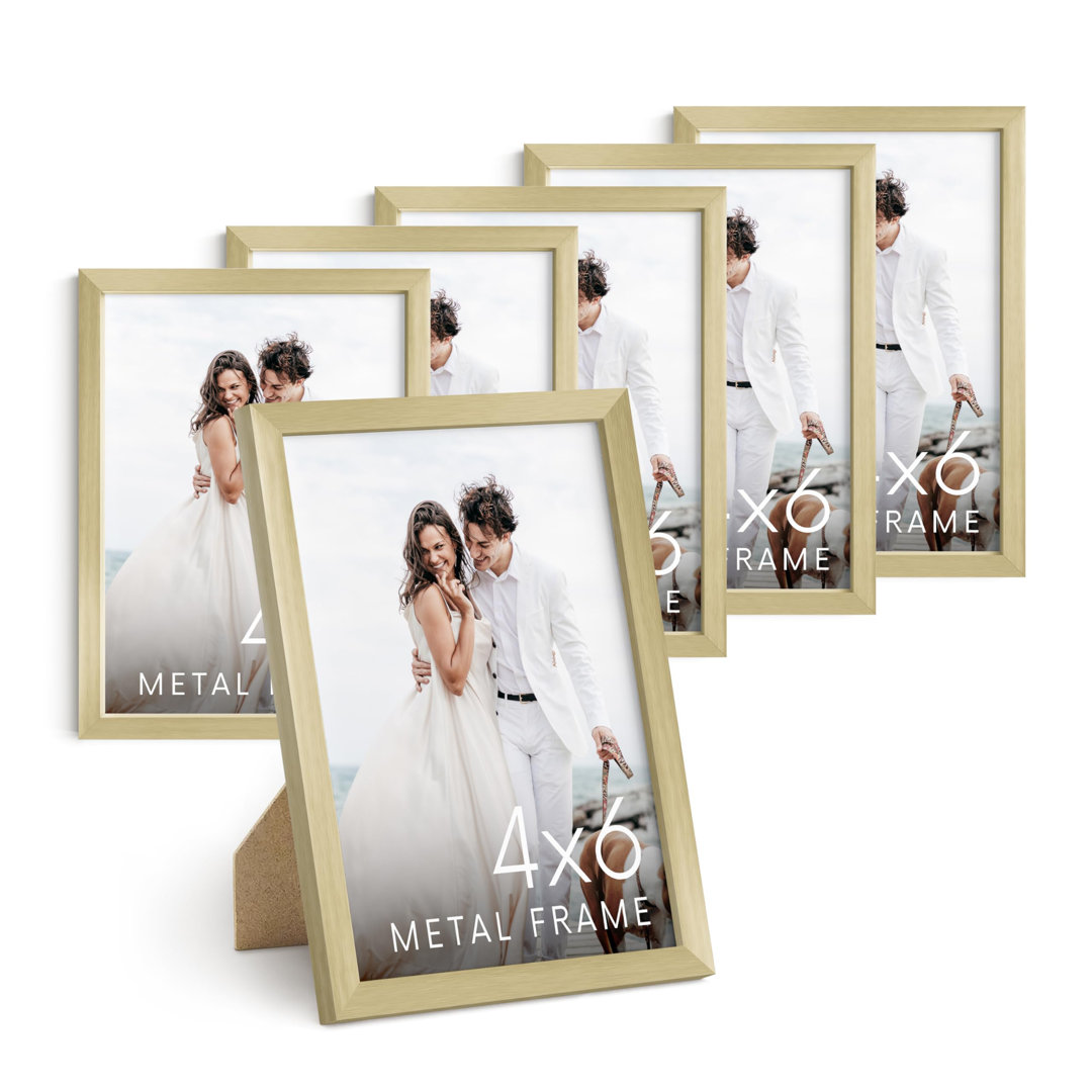 Lajavion Metal Picture Frame - Set of 6 (Set of 6) Hokku Designs 