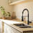 FURUISI Pull Down Single Handle Kitchen Faucet with Deck Plate-100865078