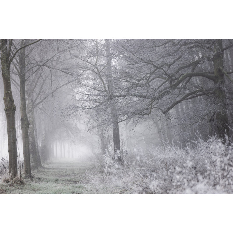 Wrapped Canvas Print, 50.8cm H x 76.2 cm W