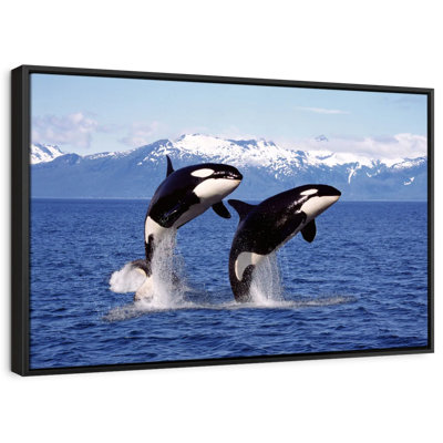 " Jumping Couple Orcas Wall Art "
