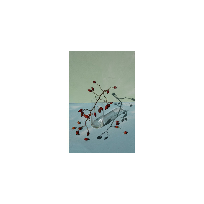 Wrapped Canvas Print, 50.8 cm H x 76.2 cm W
