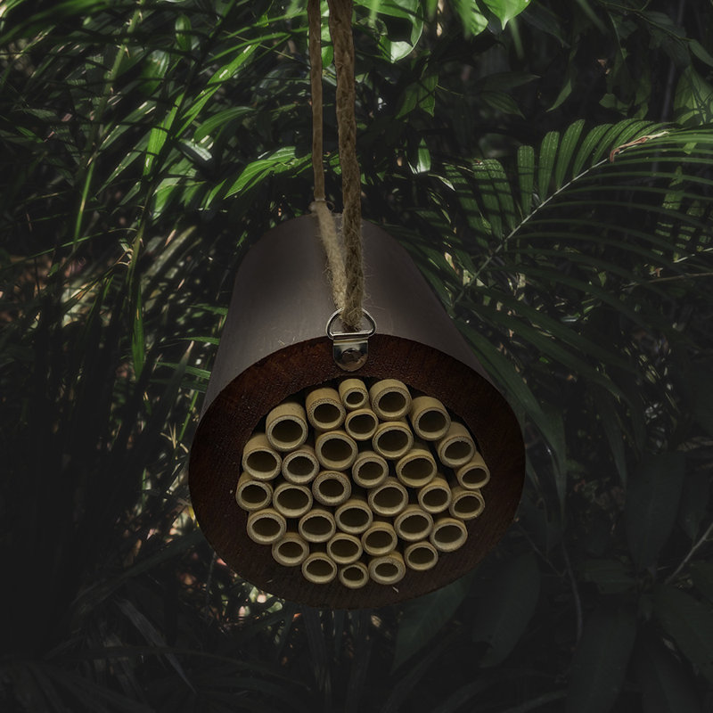 Rhinebolt Hanging Insect House