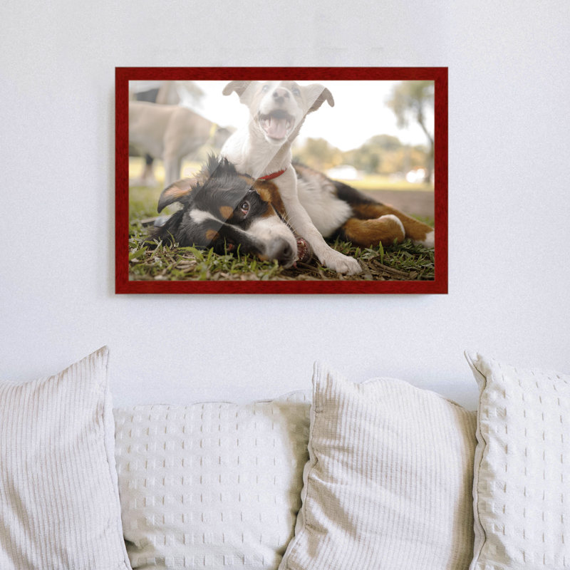 Cadre photo en bois massif Plassie, Rouge, L 10 po x H 23 po