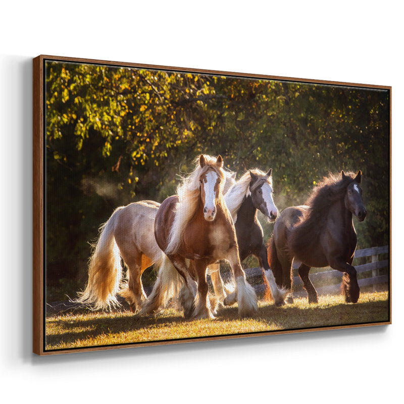 Sunlit Horses III, reproduction d'art sur toile encadrée, H 25 po x l 37 po x P 2 po, Noyer