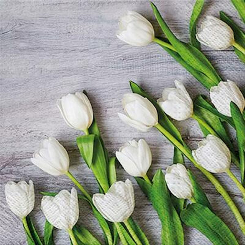 Tulipes et serviettes pour 20 personnes
