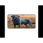 Polyester Desk Pad-1200110417