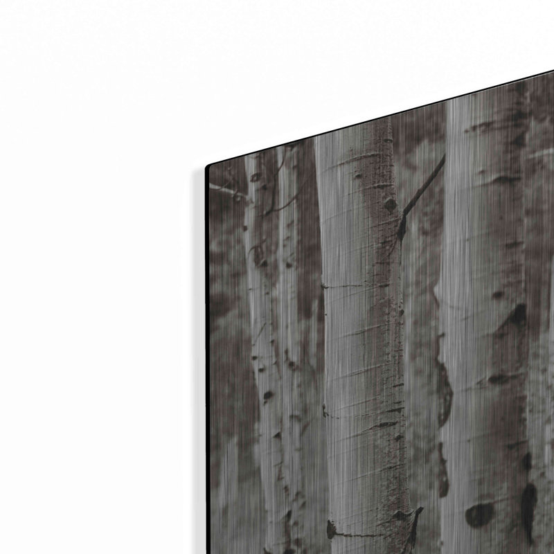 "Aspens II" par Debra Van Swearingen, H 16 po x l 12 po