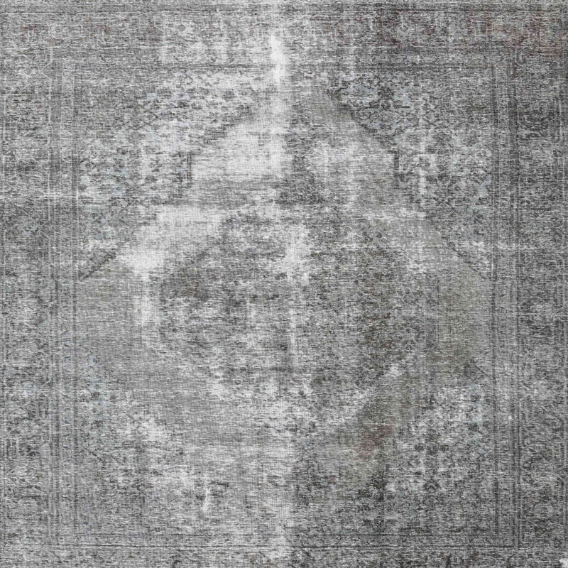 Aizaiah Oriental Indoor Rug, Square 7'