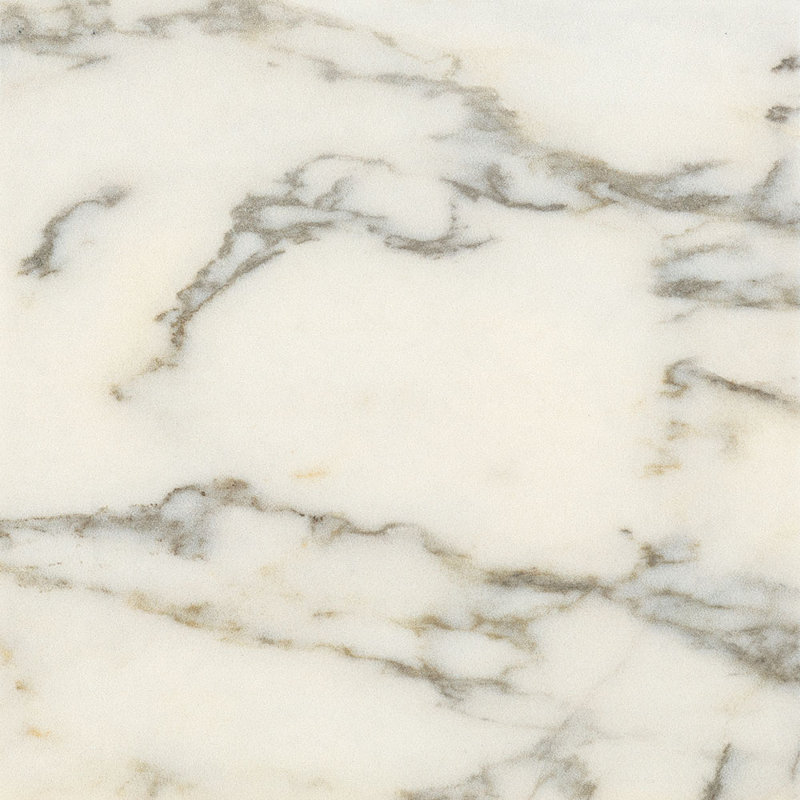 Prestige 8x8 Paonazzo Porcelain Floor and Wall Tile, Paonazzo