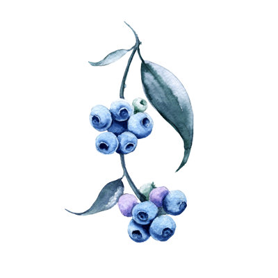 «Linesha Branch with Blueberries» par Luchioly - peinture sur toile tendue