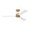 Martrell Ceiling Fan