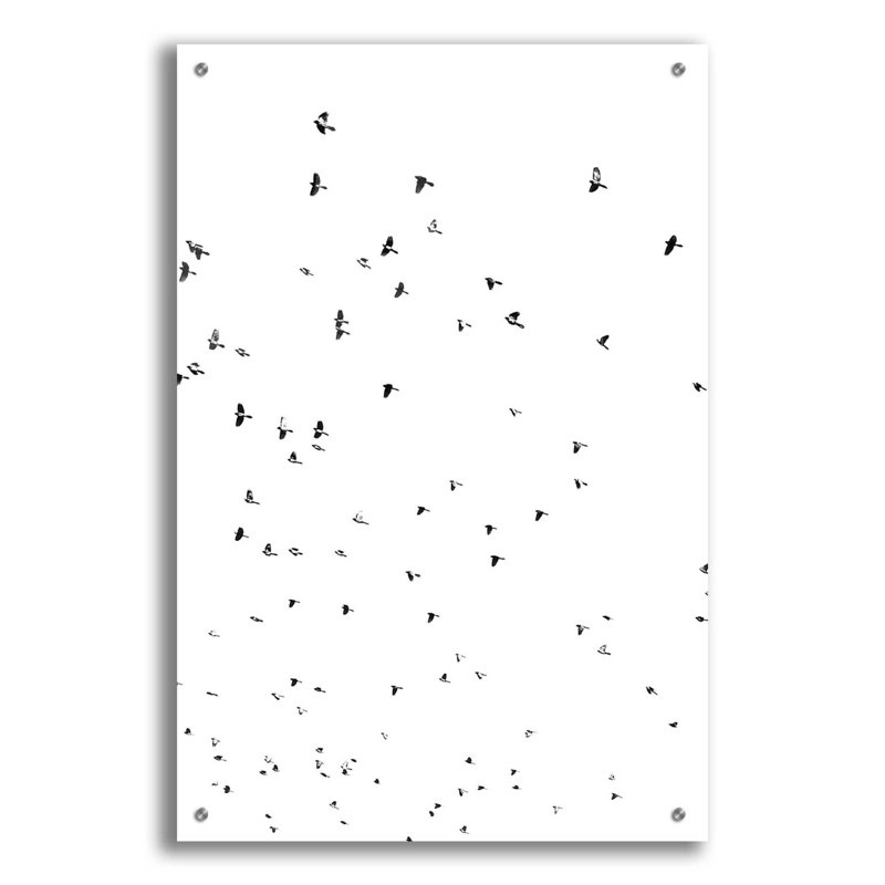 Reproduction d'oiseau sur plastique / acrylique par Epic Portfolio, H 36 po x l 24 po x P 0,2 po