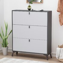 https://assets.wfcdn.com/im/95545789/resize-h210-w210%5Ecompr-r85/1823/182368994/24+Pair+Shoe+Storage+Cabinet.jpg