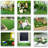 Evergreen Lawn Turf Mat