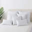 Insert de coussin-95818117
