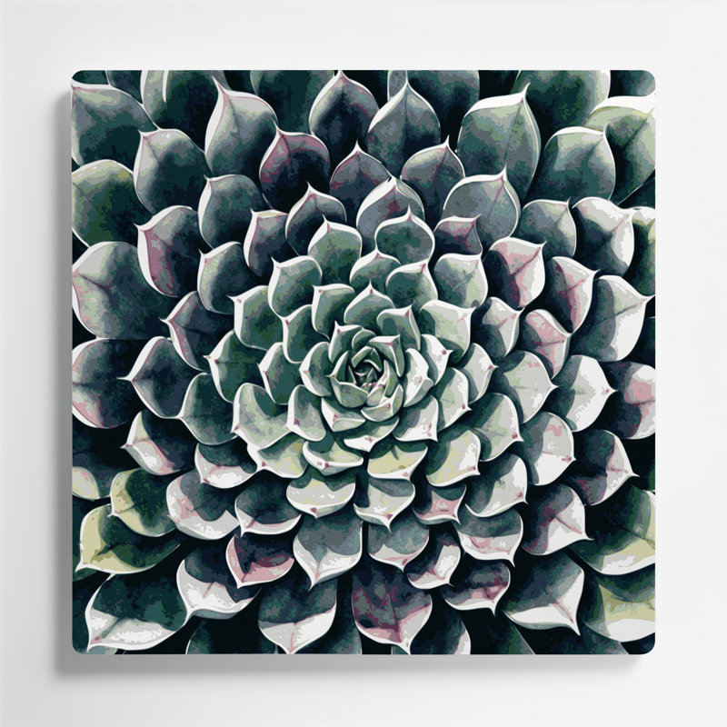 Art mural botanique gris Echeveria, H 12 po x l 12 po