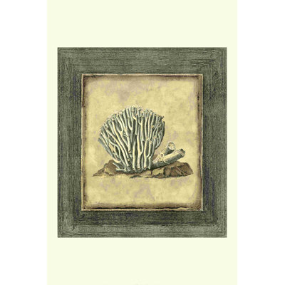 Mini corail exotique (U)