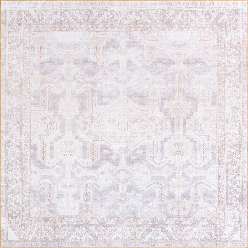 Mcclamma Chenille Oriental Indoor Rug, Square 7'6"