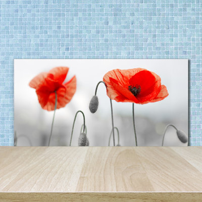 Loudell 50cm W x 100cm L Glass Peel and Stick Panel