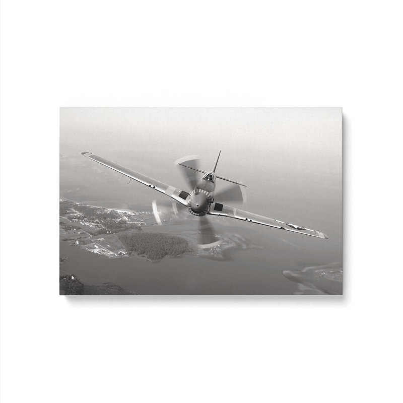 Silent Wings Print on Canvas, 12" H x 18" W, Stretched Canvas