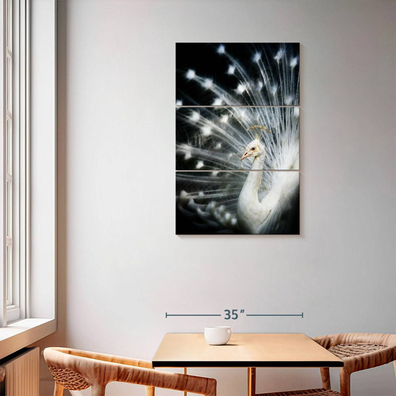 Brampt Rare White Peacock, 57" H x 36" W