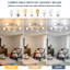 Chrome 6-Light Branch LED Ceiling Light