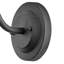 Hinkley Wallace Gooseneck Barn Light-1432915431