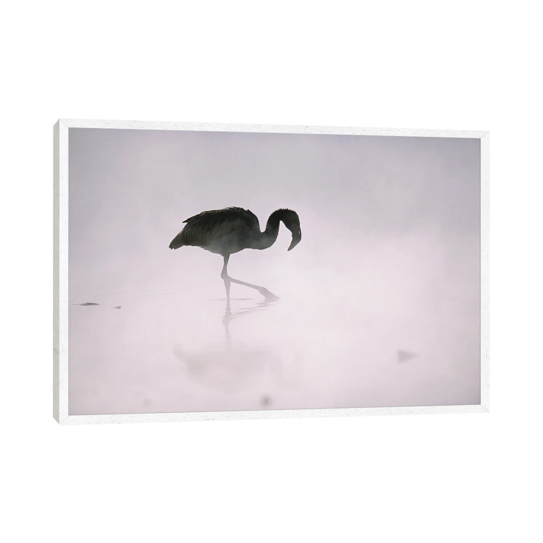 A Flamingo Wades In A Thermal Hot Spring In Chile's Atacama Desert by Joel Sartore - Gallery-Wrapped Canvas Giclée on Ca...