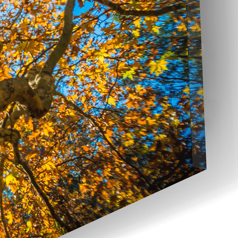 «Fall Tree» par Tim Oldford, art mural en verre acrylique épique, 36 po x 24 po, H 12 po x l 16 po x P 0,13 po