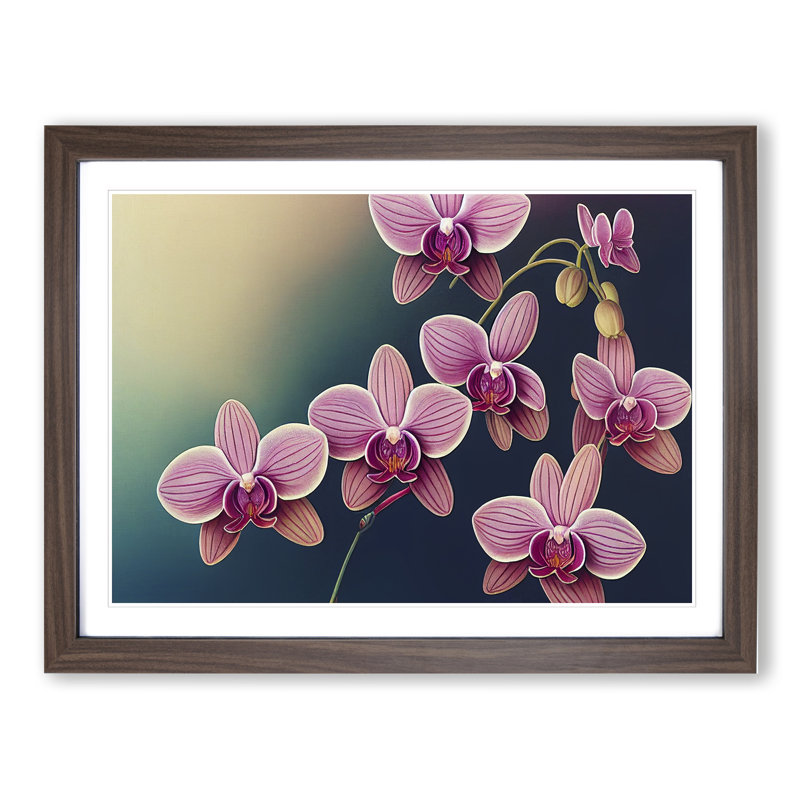 Cheerful Orchid Flowers - Single Picture Frame Print, 34cm H x 46cm W x 2cm D, Walnut