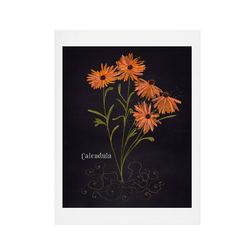 « herb jardin calendula », impression, H 20 po x l 16 po x P 0,13 po