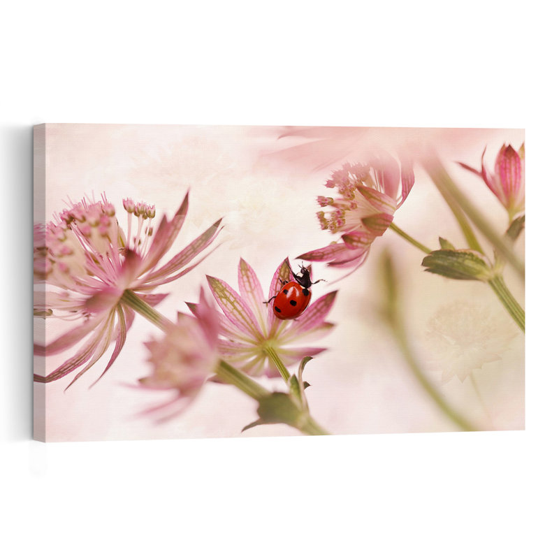 Pink Flower Ladybug Delicate Vibrant Ladybug Flower Nature Wall Art Print by Ellen van Deelen - 1 Piece Wrapped Canvas Wall Art