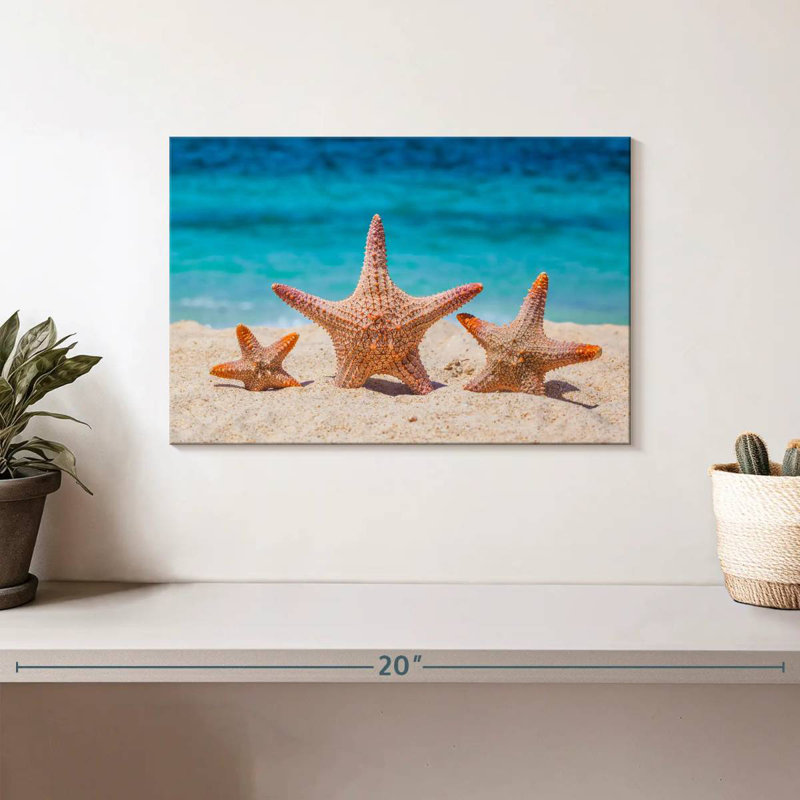 Starfish trio Aletra, H 8 po x l 12 po