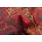 Rizbaft Red Rug 3'7" x 6'0"