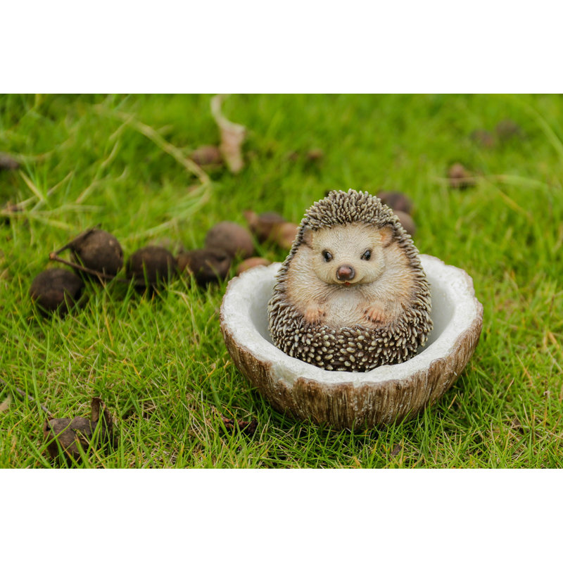 Coconut Hedgehog