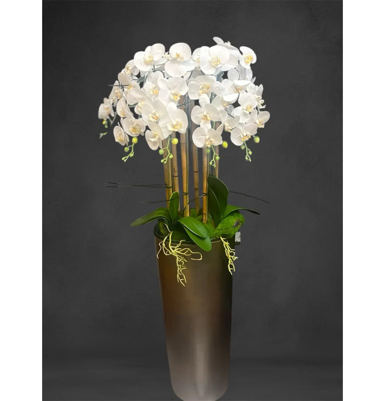 Orchid Arrangement in Planter