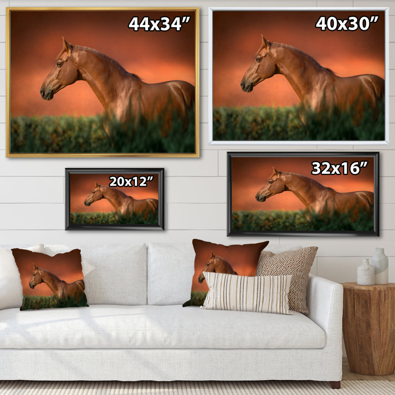 Portrait du cheval pur-sang châtaignier I - photographie sur toile, H 30 po x l 40 po, Toile à cadre flottant blanc
