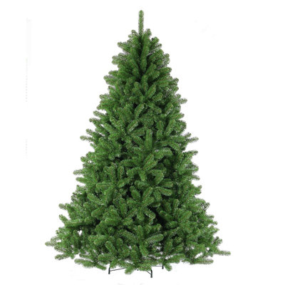 Scandia 89' Spruce Christmas Tree