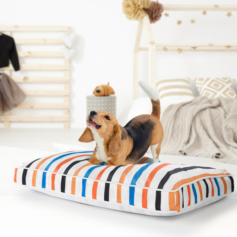 Coussin Landisville